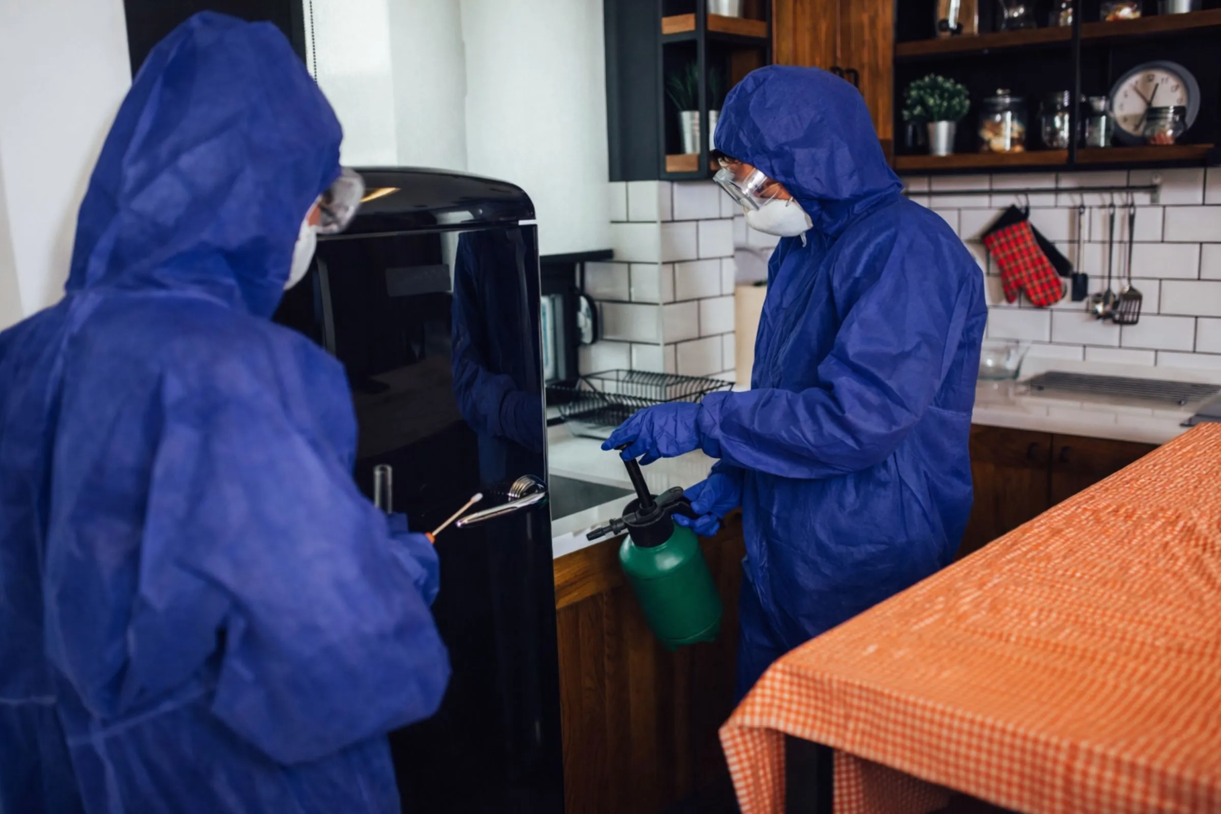 A bright and clean residential kitchen with white cabinets, representing a safe and pest-free home environment after professional treatment